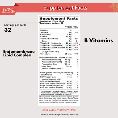 Added Attention – Liquid Supplement for Kids with DHA, B Vitamins & Phospholipids | Brain-Friendly Nutrients in a Natural Raspberry Flavor | 16 oz